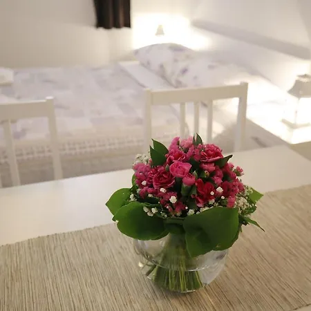 스튜디오 아파트먼트 로라 아파트 *