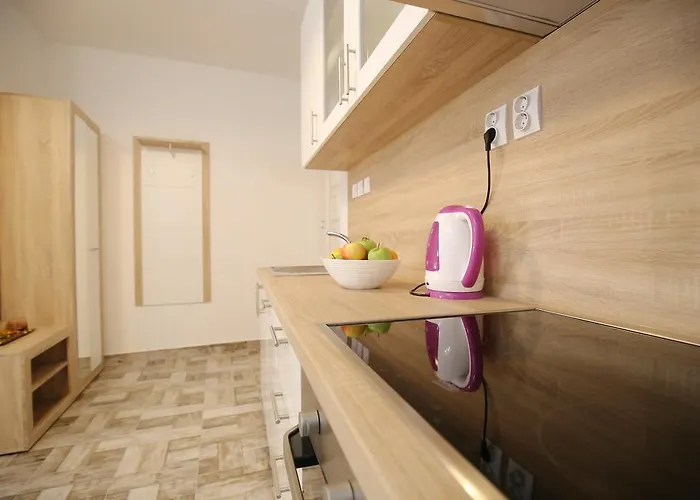 劳拉一室公寓 *